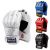 MMA sparraushanskat