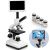 Trinocular mikroskooppi ammattilaisille 40X-2500X