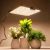 BOSYTRO LED-kasvivalaisin 500–1000 W