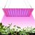 IWP SL071 LED-kasvivalaisin