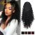 WIGSIN Kinky Curly -poninhäntäpidennys