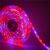 HERULED SMD5050-kasvivalojen LED-nauha