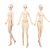 DBS Dream Fairy 1/3 BJD-nukke, 62 cm