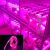 SONQIN LED-kasvivalonauha DC 12 V
