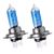 H7 55w Halogen polttimopari