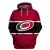 Carolina Hurricanes collegepaita