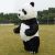 Panda fursuit / turripuku