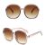 Oversized Vintage aurinkolasit