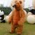 Plush Bear Nalle fursuit / turripuku
