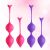 Womanix Kegel Geishakuulat 2kpl