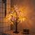 Butterfly Tree, Tabletop Bonsai