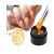 MEET ACROSS 5ml  Dried Flower Gel Nail polish - K0266