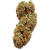 Northern Light Auto siemenet 50kpl