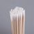 Manikyyritikut,  Cleaning Sticks 100kpl