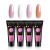 Phoenixy Polygel setti X4-2