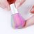Nail Dust Brush- Pölyharja Rainbow