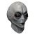 Area 51 Overhead Naamio