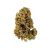 White Widow Auto siemenet 50kpl